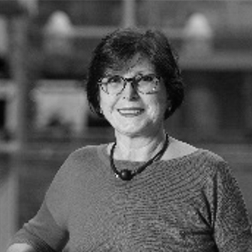 Dr Valentina Ivanova